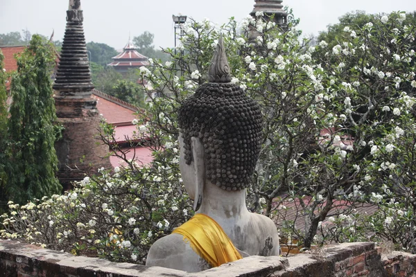 Asia Thaiföld Ayuthaya Wat Yai Chai Mongkhon — Stock Fotó