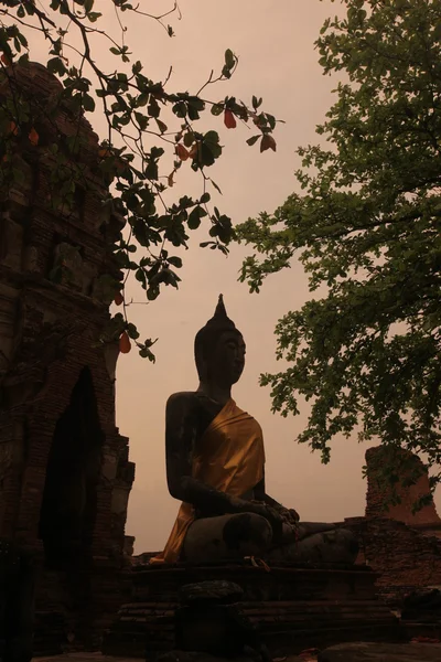 Asia Ayuthaya Thailand Wat Phra Mahathat — Zdjęcie stockowe