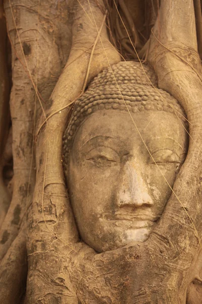 Asia Thailand Ayuthaya-Wat Phra Mahathat stenen hoofd — Stockfoto