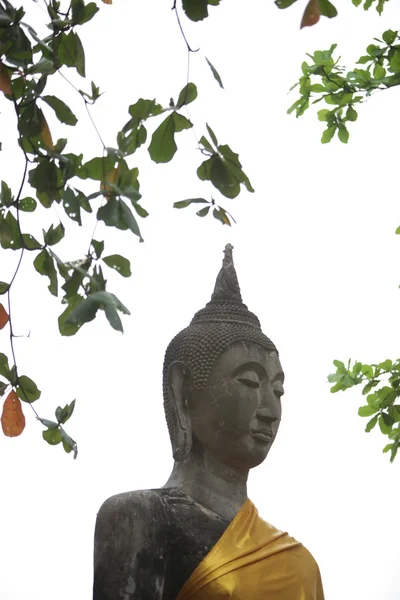 ÁSIA TAILÂNDIA AYUTHAYA WAT PHRA MAHATHAT — Fotografia de Stock