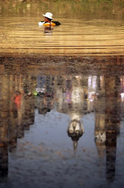 Homem nadando no lago — Fotografia de Stock