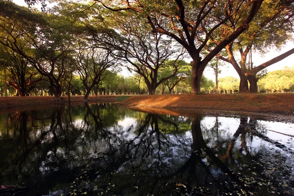 Landskap med sjön av en park — Stockfoto