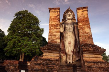 Buda heykeli wat mahathat Tapınak