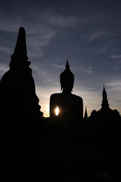 Statue de bouddha au coucher du soleil — Photo