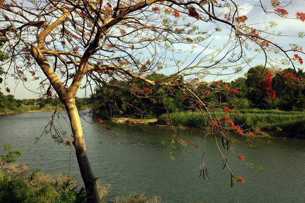 Pittoresco fiume in Si Satchanalai-Chaliang — Foto Stock