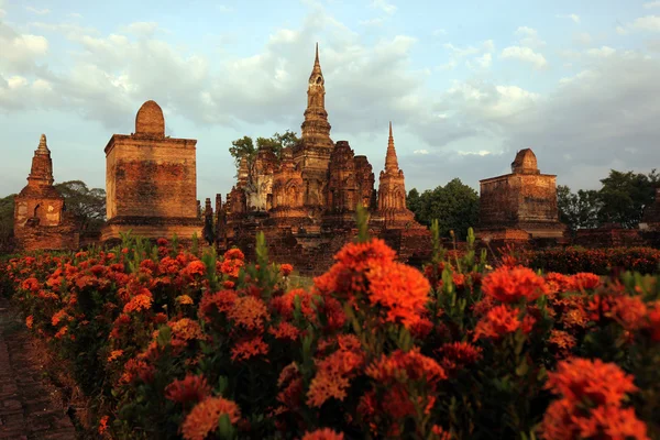 Cama de flores en el templo de Wat Mahathat — Foto de Stock