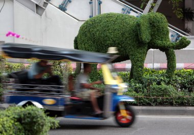 ASIA THAILAND BANGKOK CITY ELEPHANT TREE clipart