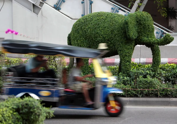 ASIA TAILANDIA BANGKOK CIUDAD ÁRBOL ELEFANTE — Foto de Stock