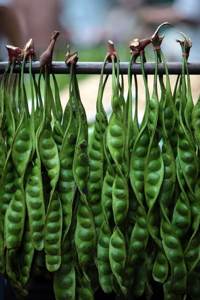 ASIA TAILANDIA BANGKOK MERCADO NONTHABURI — Foto de Stock