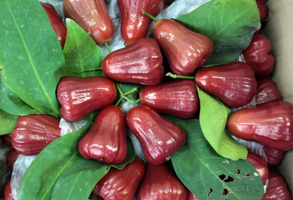 ASIA TAILANDIA BANGKOK BANGLAPHU PAK KHLONG MERCADO — Foto de Stock