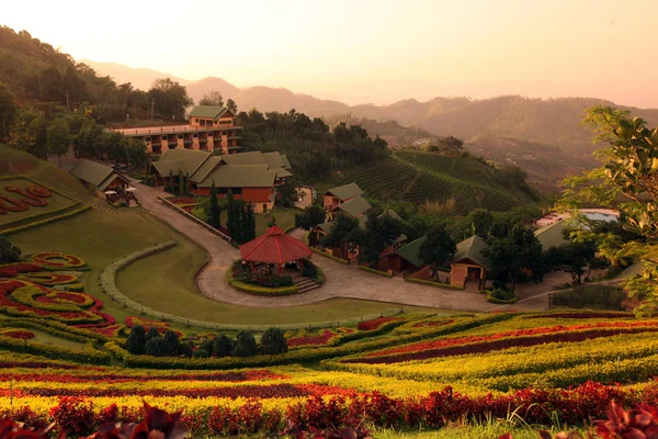 Asie Thajsko Chiang Rai Mae Salong Landscape — Stock fotografie