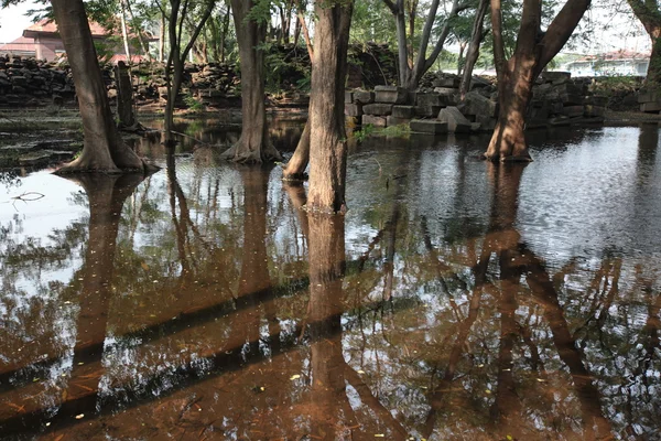 Arbres dans l'eau au temple Phimai — Photo