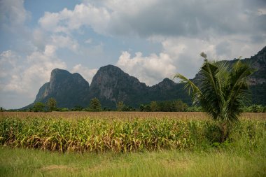 Tayland, Sa Kaeo, 12 Kasım 2025 - Tayland 'ın Sa Kaeo ilindeki Khao Siwa Su Mağarası' nda kayalık ve kayalık peyzajı.