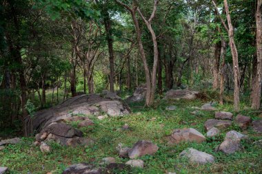 Tayland 'ın Sa Kaeo ilindeki Prasat Khao Lon' da orman ve doğa..