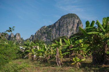 Tayland 'ın Sa Kaeo ilindeki Wat Tham Khao Chakan' da peyzaj ve dağlar. Tayland, Sa Kaeo, Kasım, 15, 2025