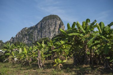 Tayland 'ın Sa Kaeo ilindeki Wat Tham Khao Chakan' da peyzaj ve dağlar. Tayland, Sa Kaeo, Kasım, 15, 2025
