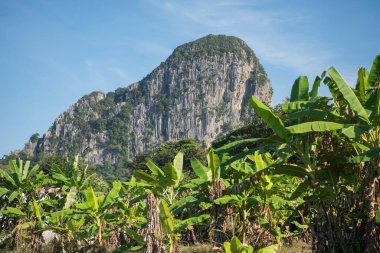 Tayland 'ın Sa Kaeo ilindeki Wat Tham Khao Chakan' da peyzaj ve dağlar. Tayland, Sa Kaeo, Kasım, 15, 2025