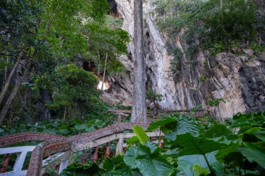 Tayland, Sa Kaeo, Kasım 15, 2025 Tayland 'ın Sa Kaeo ilindeki Wat Tham Khao Chakan Mağarası' na çıkar..