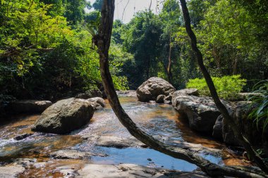 Tayland, Sa Kaeo, 15 Kasım 2025 - Pang Sida Şelalesi Tayland 'ın Sa Kaeo ilindeki Pang Sida Ulusal Parkı.
