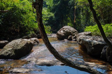 Tayland, Sa Kaeo, 15 Kasım 2025 - Pang Sida Şelalesi Tayland 'ın Sa Kaeo ilindeki Pang Sida Ulusal Parkı.