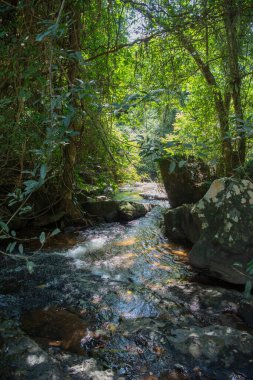Tayland, Sa Kaeo, 15 Kasım 2025 - Pang Sida Şelalesi Tayland 'ın Sa Kaeo ilindeki Pang Sida Ulusal Parkı.