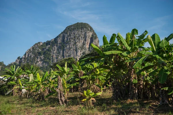 Tayland 'ın Sa Kaeo ilindeki Wat Tham Khao Chakan' da peyzaj ve dağlar. Tayland, Sa Kaeo, Kasım, 15, 2025