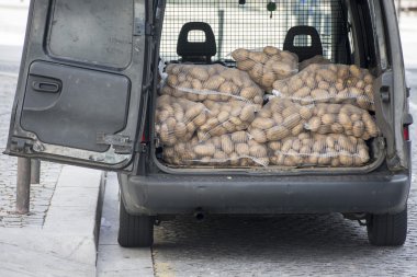 patates araba gövde 