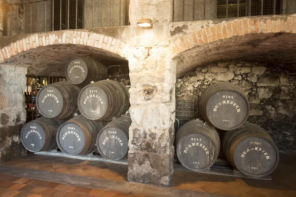 Port wine Cellar of Ferreira — Stock Photo, Image