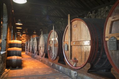 Avrupa Portekiz Porto Limanı şarap mahzeni
