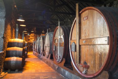 Bağlantı noktası şarap mahzeni Ferreira