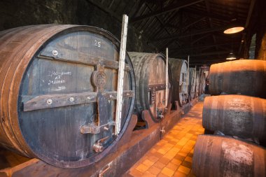 Bağlantı noktası şarap mahzeni Ferreira