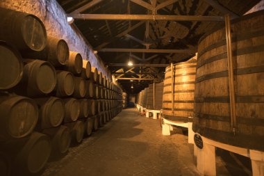 Avrupa Portekiz Porto Limanı şarap mahzeni
