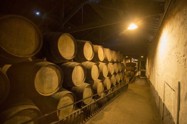 Avrupa Portekiz Porto Limanı şarap mahzeni