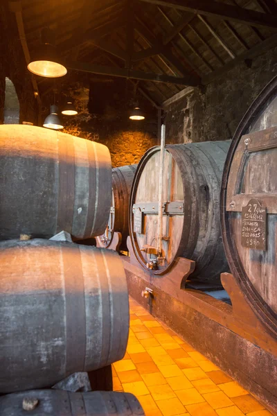 CELLAR DE VIN PORTUGAL PORTUGAL EUROPE — Photo