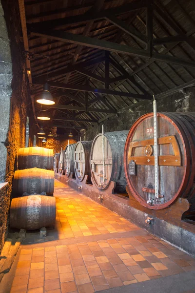 EUROPE PORTUGAL PORTO PORT WINE CELLAR — Stock Photo, Image