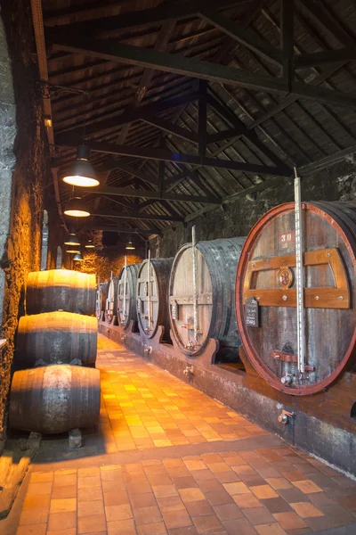 EUROPE PORTUGAL PORTO PORT WINE CELLAR — Stock Photo, Image