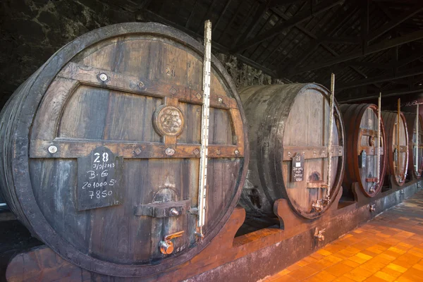 Port wine Cellar of Ferreira — Stock Photo, Image