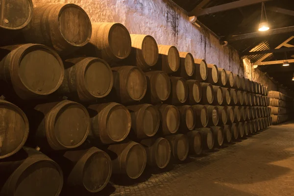 Port wine Cellar of Ferreira — Stock Photo, Image