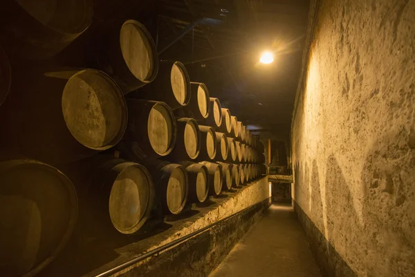 Cave à vin de Porto de Ferreira — Photo