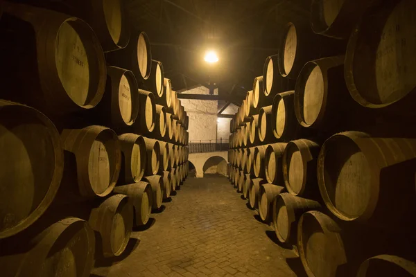 Cave à vin de Porto de Ferreira — Photo