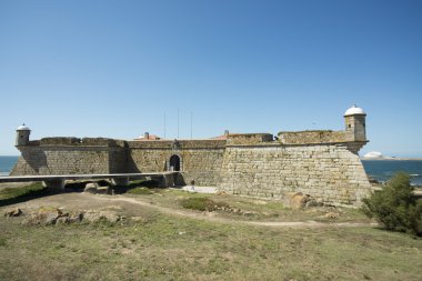 Castelo de queijo kale
