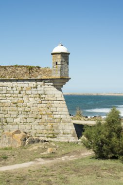 Castelo de queijo kale
