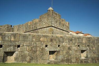 Castelo de queijo kale