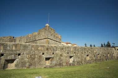 Castelo de queijo kale