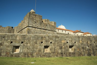 Castelo de queijo kale