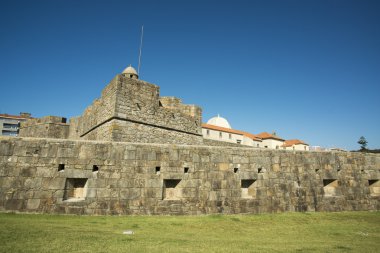 Castelo de queijo kale