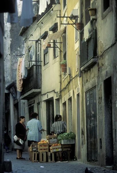 EUROPE PORTUGALBON LISBON ALFAMA — Stock fotografie