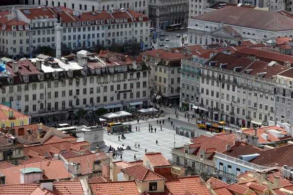 La paraca da figueira nel centro della città — Foto Stock