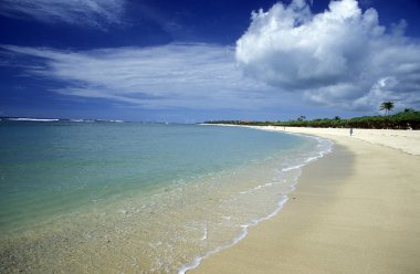 Picturesque beach near the island Bali clipart