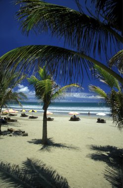 Asya Endonezya Bali Beach